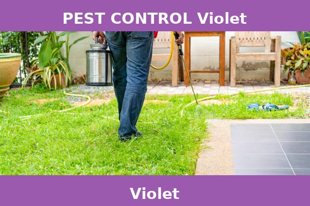 PEST CONTROL Violet